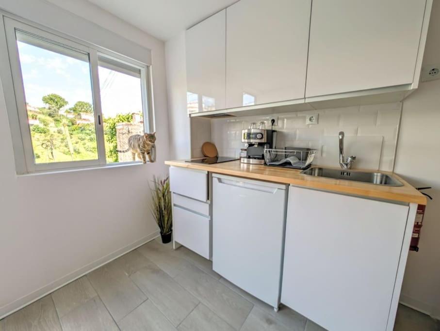Estudio Vila Isabel - B Coimbra Exteriér fotografie
